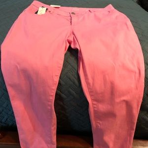 NWT Size 10 Crown and Ivy Capris